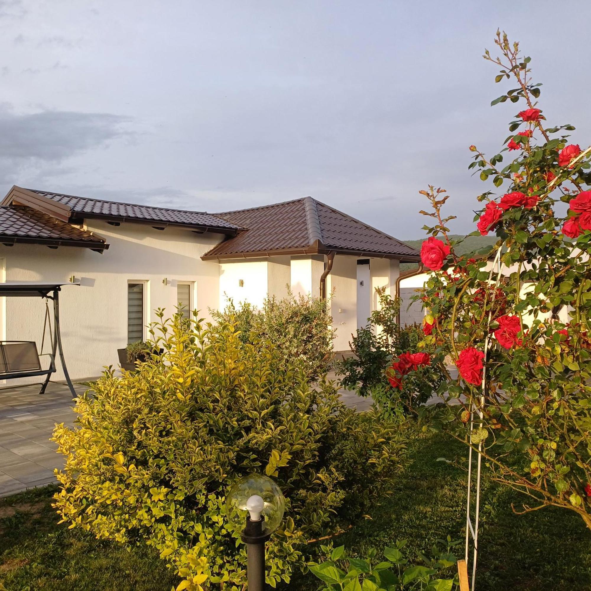 Family Estate Hadzalova Avlija Villa บีฮัช ภายนอก รูปภาพ